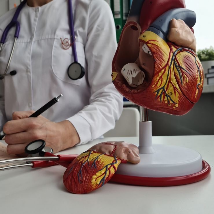 Organ Transplant
